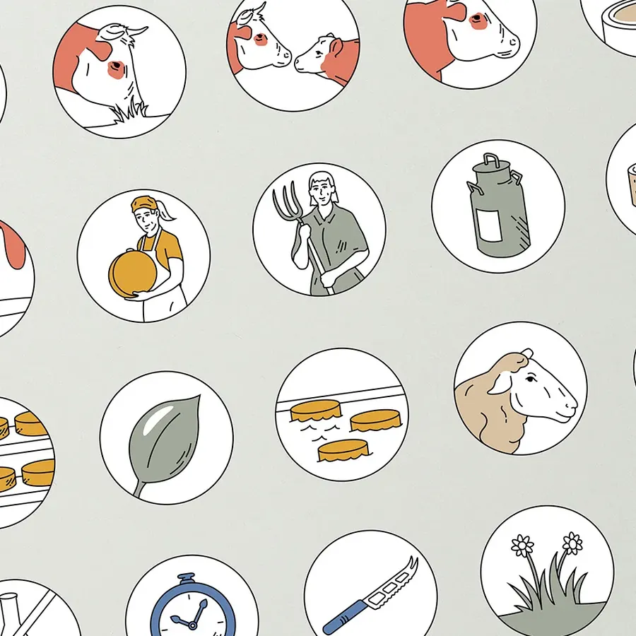 Swiss cheese pictograms