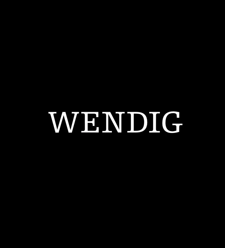 Video sketch Wendig