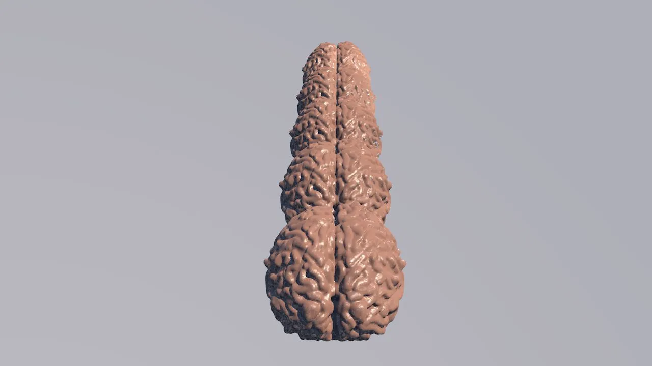 3D animation of several brains in a row.