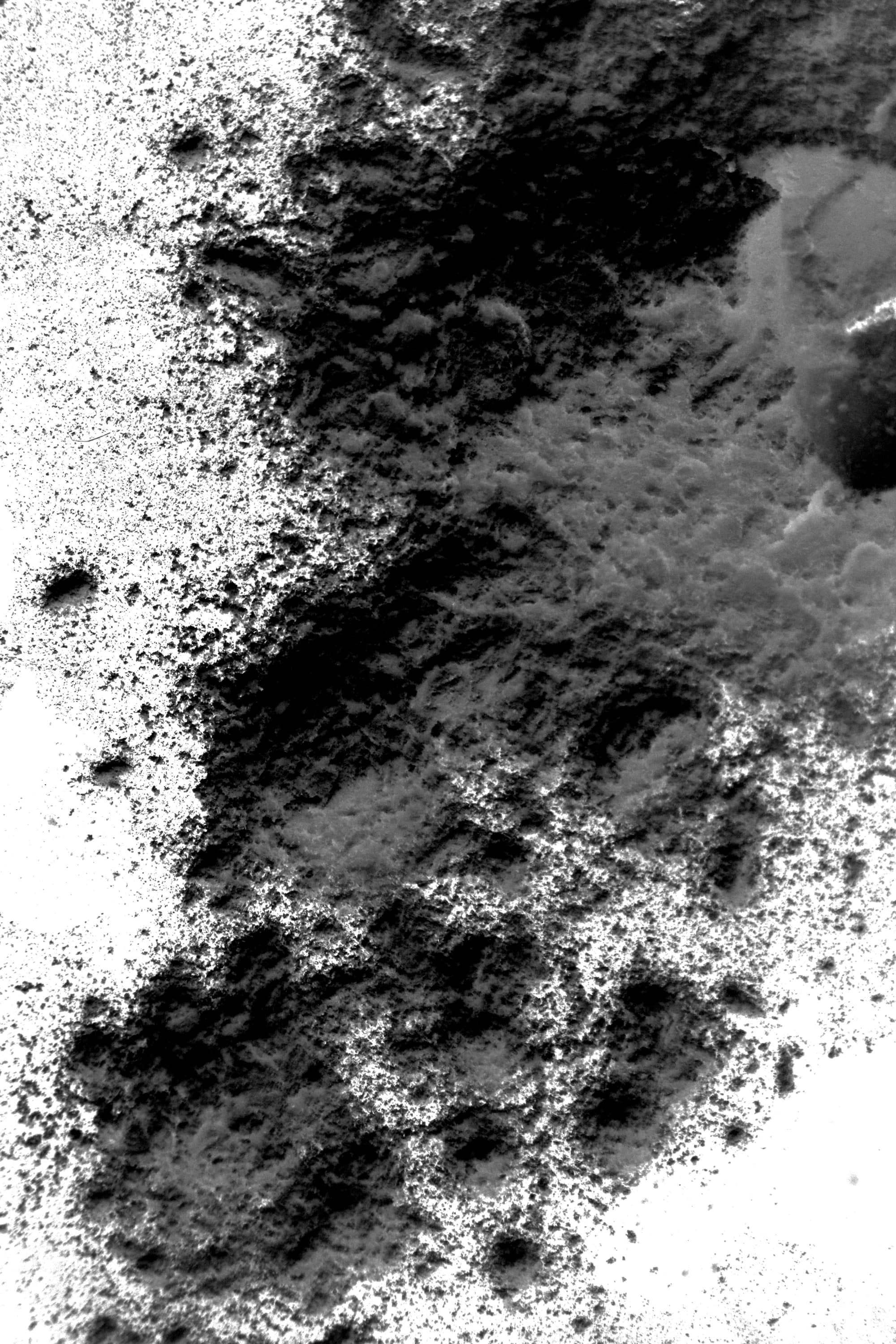 Photography of an experiment with flour. Black flour on white background.