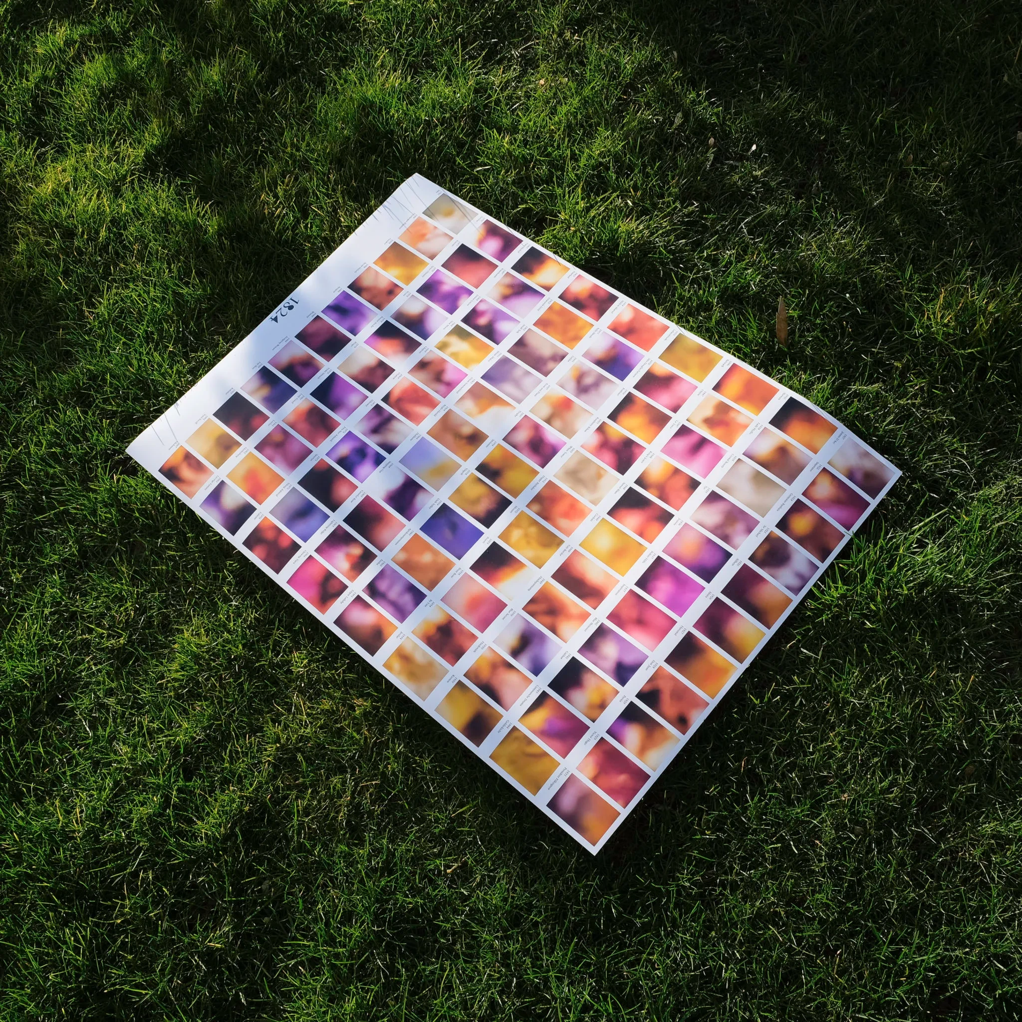 The 1824 poster with all iris photographs