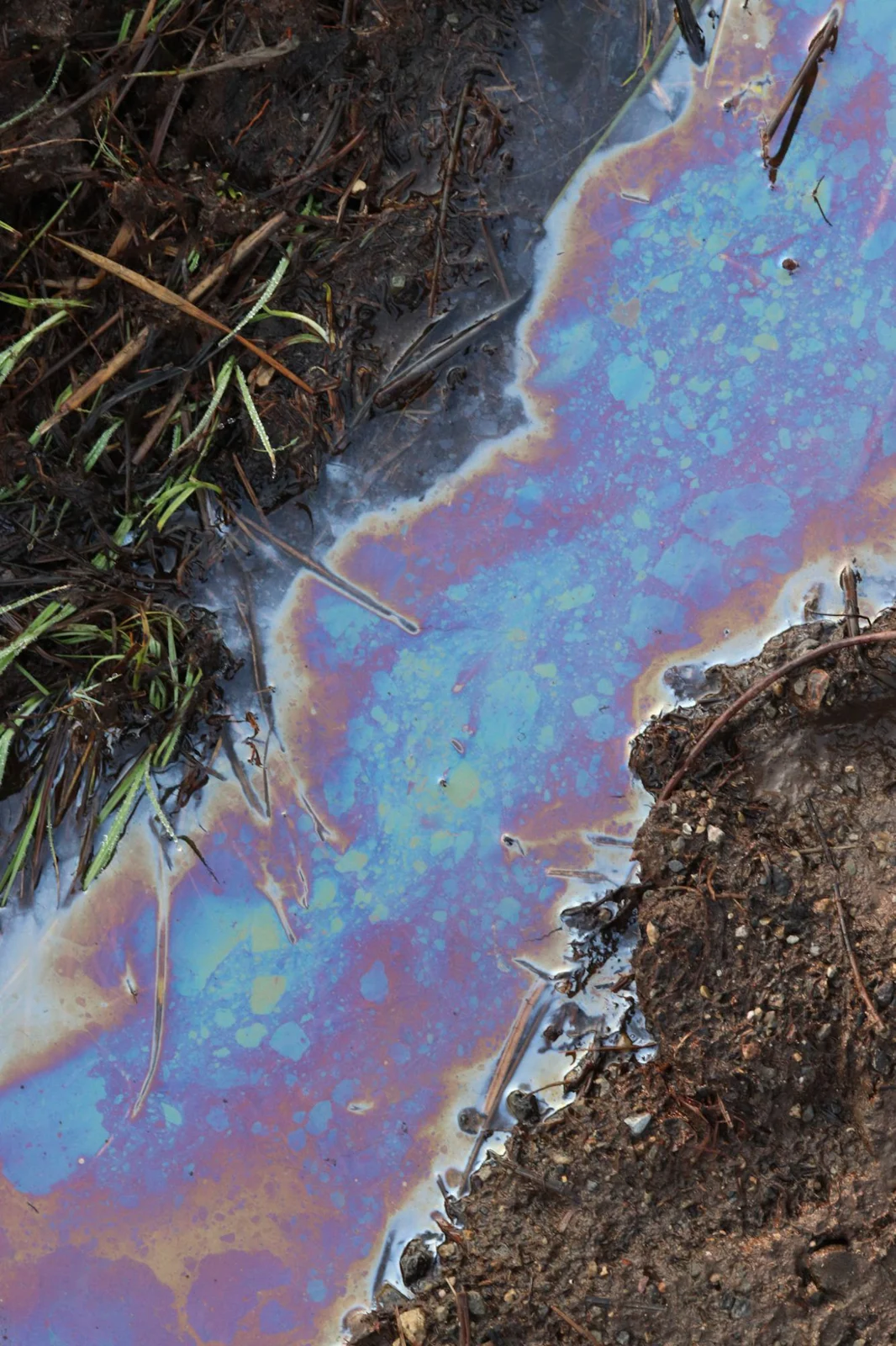 Oil film shimmering on a puddle