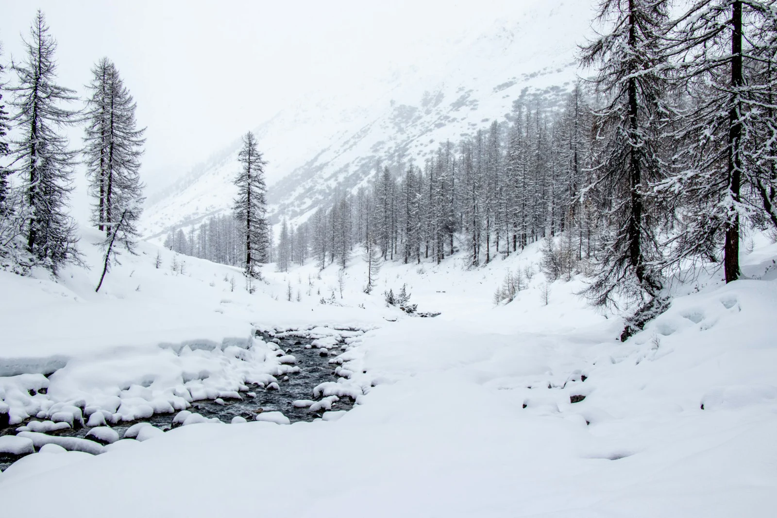 Snowy valley with a stream