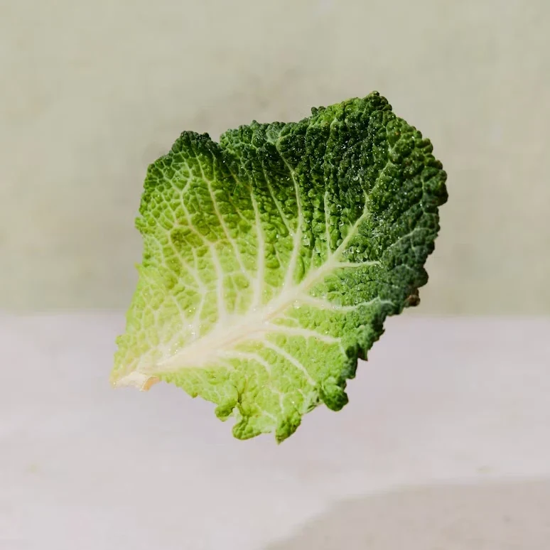 A leaf of Savoy cabbage (Wirz), the inspiration for the logo
